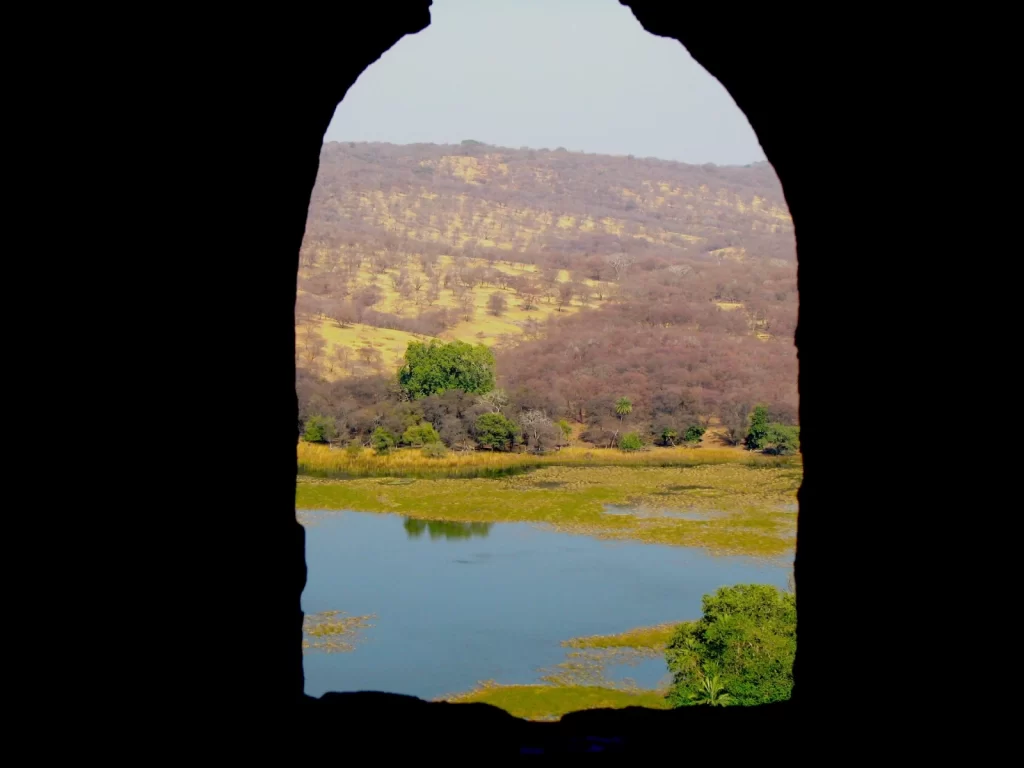 Ranthambore National park Travelogue Tips